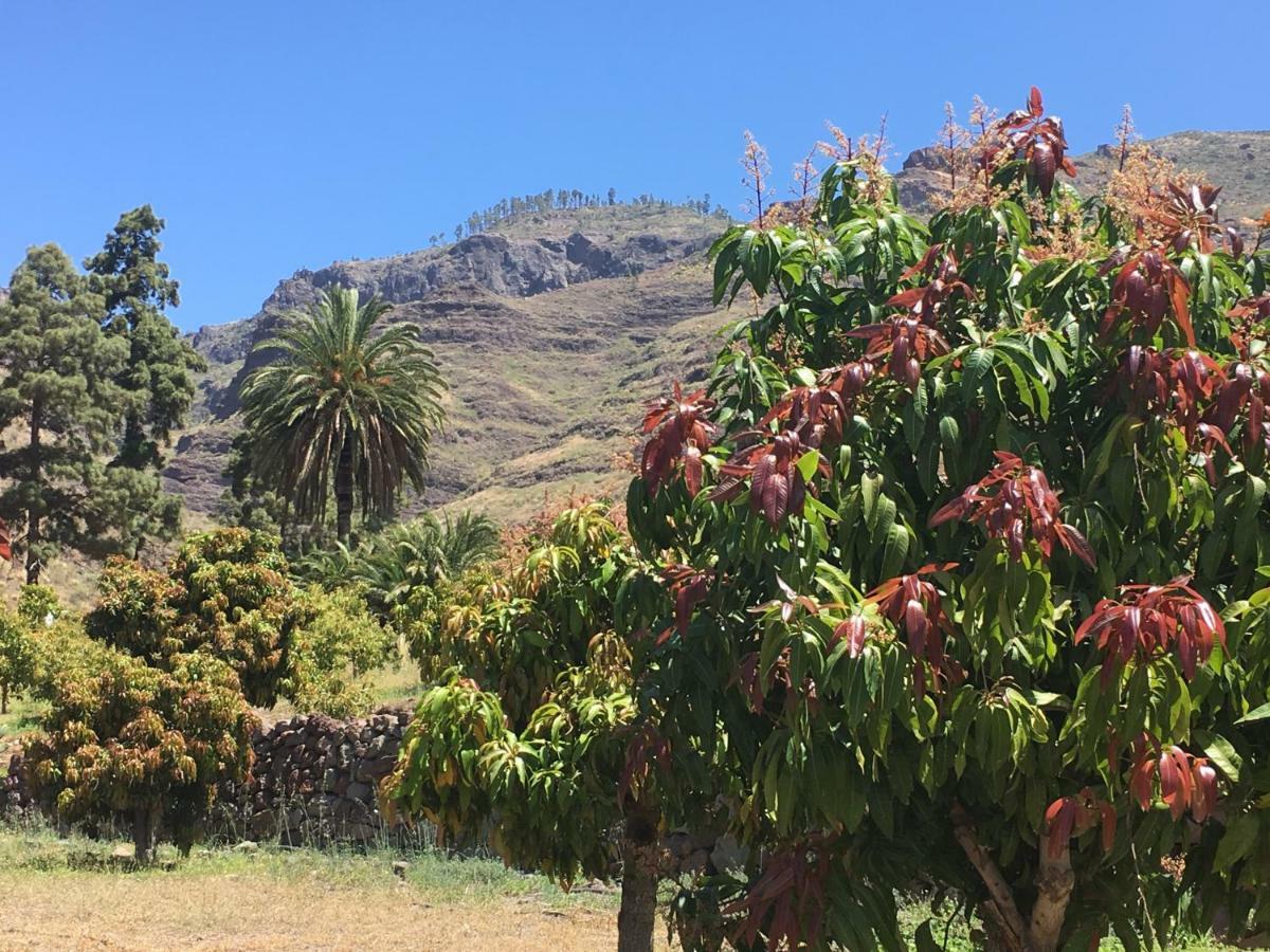 La Villa Mogán Buitenkant foto